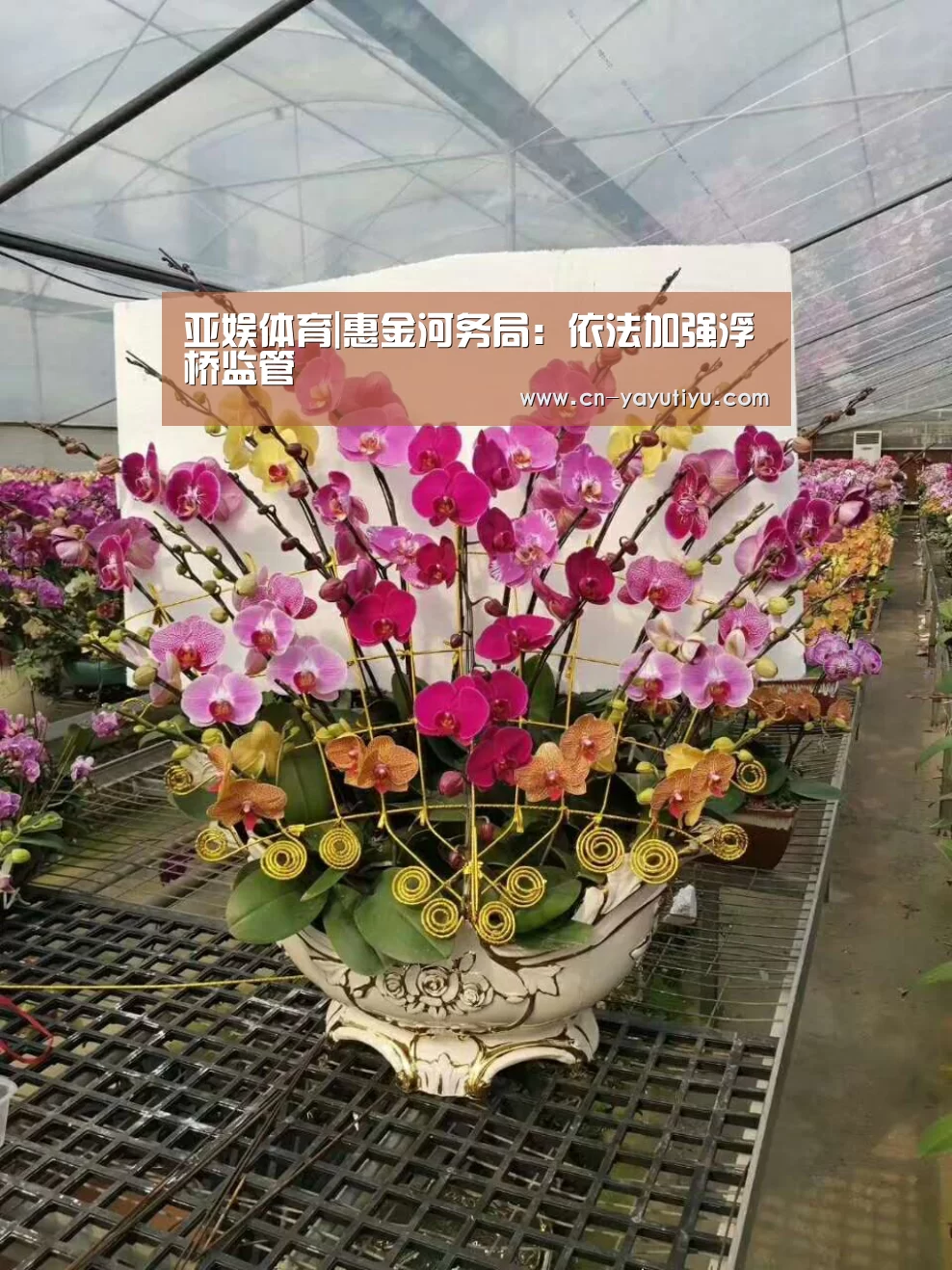 亚娱体育|惠金河务局:依法加强浮桥监管(图2) 亚娱体育