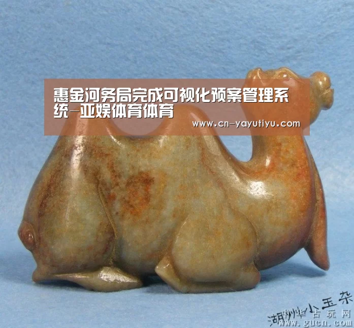 惠金河务局完成可视化预案管理系统-亚娱体育体育(图2) 亚娱体育体育官网